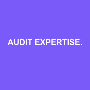 Logo de AUDIT EXPERTISE ESSONNE