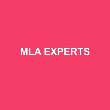 Logo de MLA EXPERTS