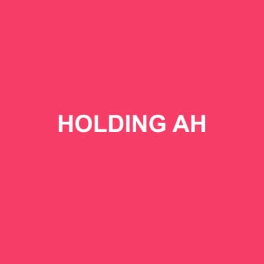 Logo de HOLDING AH