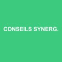 Logo CONSEILS SYNERGIE EXPERTISE
