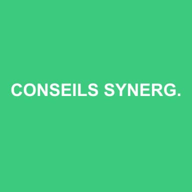 Logo de CONSEILS SYNERGIE EXPERTISE