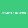 CONSEILS SYNERGIE EXPERTISE