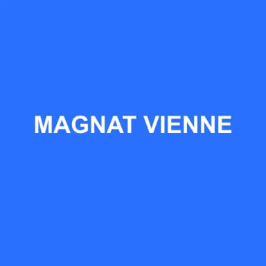 Logo de MAGNAT VIENNE