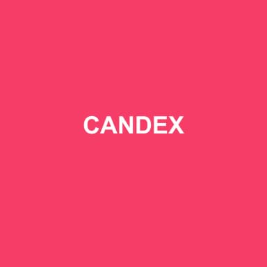 Logo de CANDEX