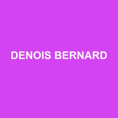 Logo de DENOIS BERNARD