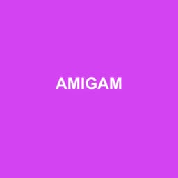 Logo Amigam - Expert-comptable à Fains-Véel
