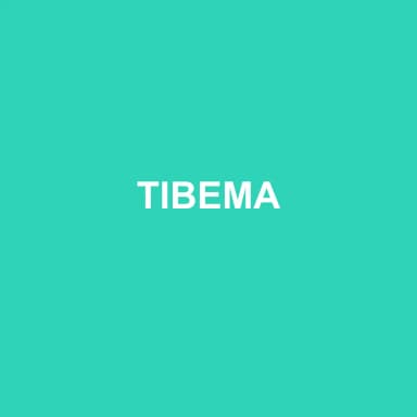 Logo de TIBEMA