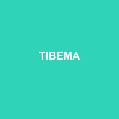 Logo de TIBEMA