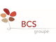 Logo de B.C.S. CONSEILS