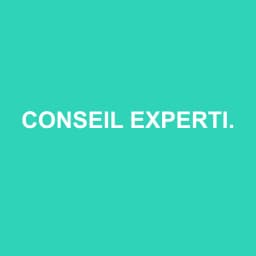 Logo Conseil Expertise et Audit Antilles Guyane - Expert-comptable à Remire-Montjoly
