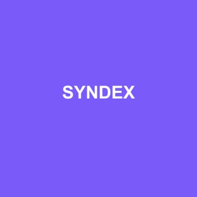 Logo de SYNDEX