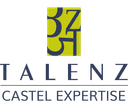 Logo TALENZ CASTEL EXPERTISE