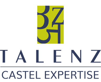 Logo de TALENZ CASTEL EXPERTISE