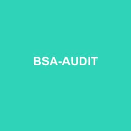 Logo BSA-AUDIT