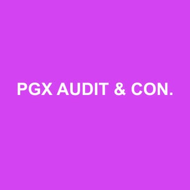 Logo de PGX AUDIT & CONSEIL