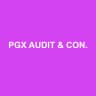 PGX AUDIT & CONSEIL