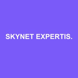 Logo Skynet Expertise et Conseil - Expert-comptable à Gilette