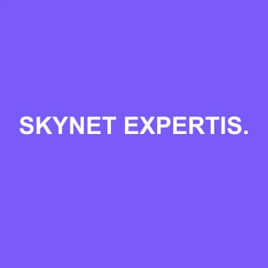 Logo de SKYNET EXPERTISE ET CONSEIL