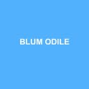 Logo BLUM ODILE