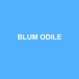 Logo de BLUM ODILE