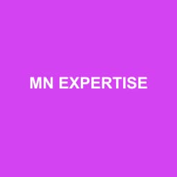 Logo MN EXPERTISE