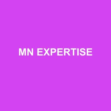 Logo de MN EXPERTISE