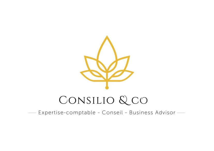 Consilio & co Expert-comptable - photo 1