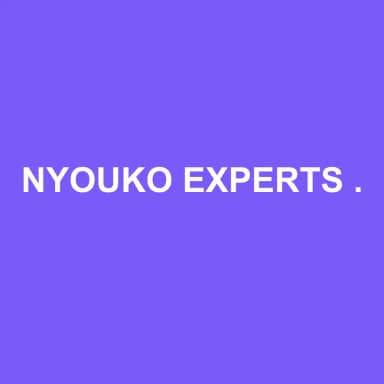 Logo de NYOUKO EXPERTS CONSEILS