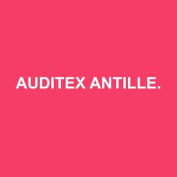 Logo Auditex Antilles Guyane - Expert-comptable à Fort-de-France