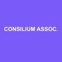 Logo de Consilium Associes b