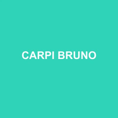 Logo de CARPI BRUNO