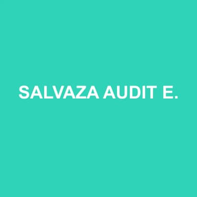 Logo de SALVAZA AUDIT EXPERTISE COMPTABLE