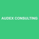 Logo de Audex Consulting