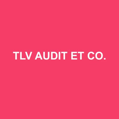 Logo de TLV AUDIT ET CONSEILS