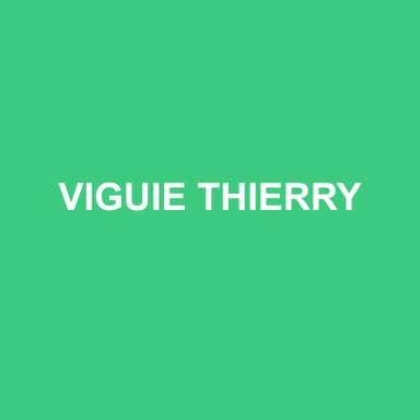 Logo de VIGUIE THIERRY