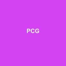 Logo Pcg - Expert-comptable à Betton