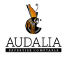 AUDALIA EXPERTISE COMPTABLE