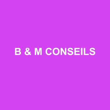 Logo de B & M CONSEILS