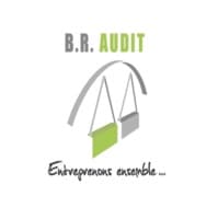 Logo de BR AUDIT VAL DE SAONE