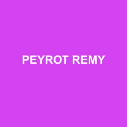 Logo de PEYROT REMY
