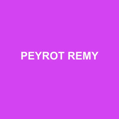 Logo de PEYROT REMY