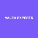 Logo de Valea Experts