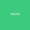 Logo de Calys