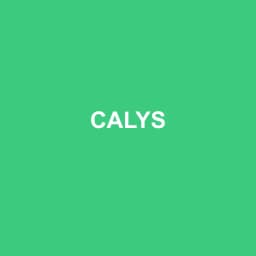 Logo de CALYS