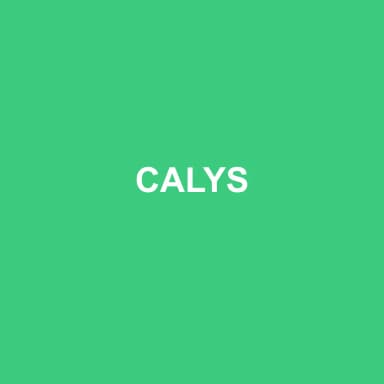 Logo de CALYS