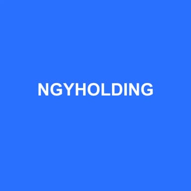 Logo de NGYHOLDING