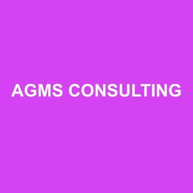 Logo de AGMS CONSULTING