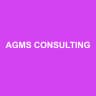 AGMS CONSULTING