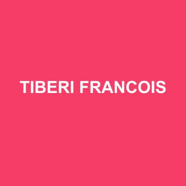 Logo de TIBERI FRANCOIS