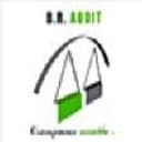 Logo de br Audit av